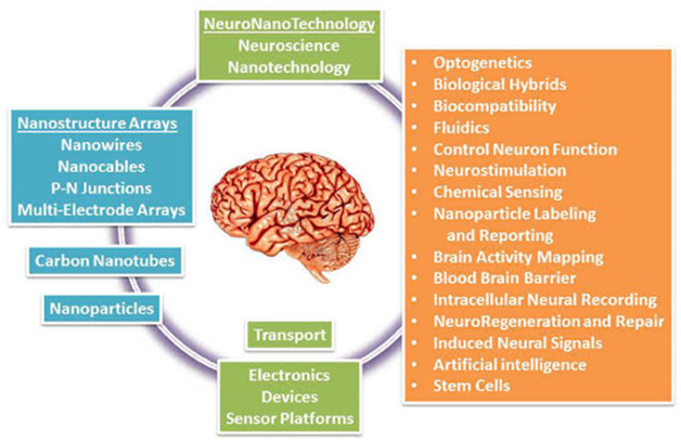 Gold Nanoparticles Can Remote Control the Brain, Smart News