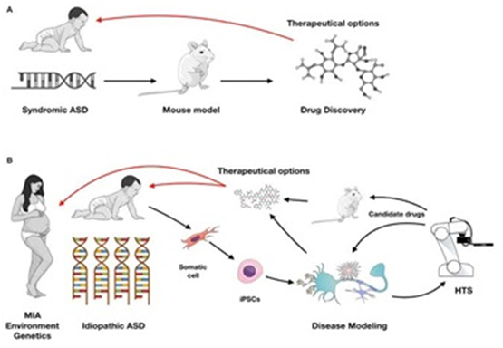 Regeneration Of Nerves Using Stem Cells To Cure Autism Highly Sophisticated Method To Normalise 6866