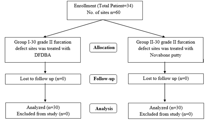 Management Of Grade Ii Furcation Defect In Mandibular Molars With ...