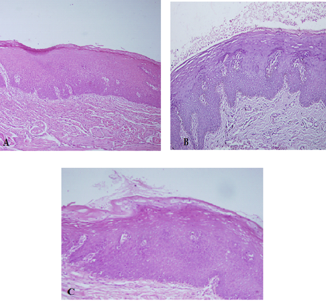 Maples Scientific Publisher | Open Access Journals | Peer-reviewed ...