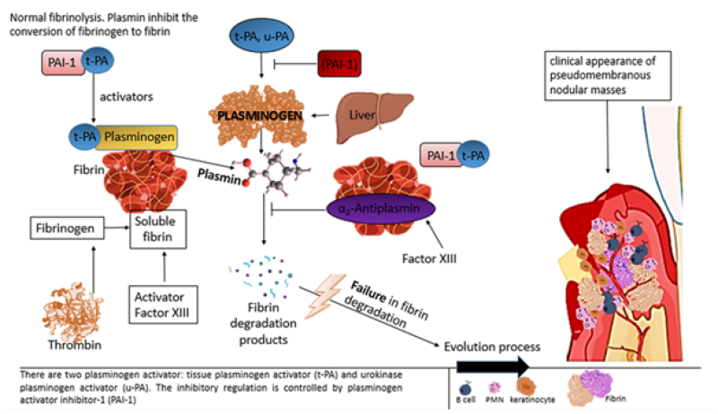 Maples Scientific Publisher | Open Access Journals | Peer-reviewed ...